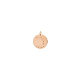 14k Single Gold Constellation & Zodiac Medium Disc Charm