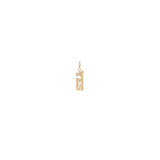 Zoë Chicco 14k Rose Gold Itty Bitty YES Spring Ring Charm Pendant